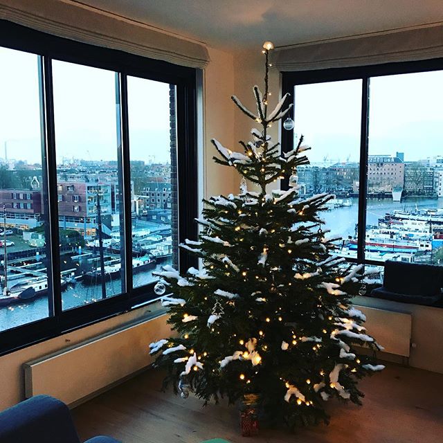 First time I actually have a tree for the holidays.