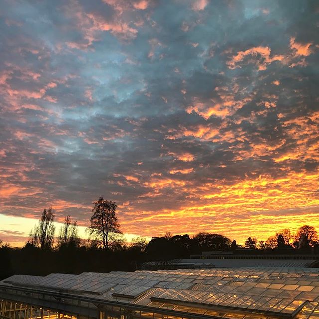 Cambridge clouds ☁️ @ evenfall