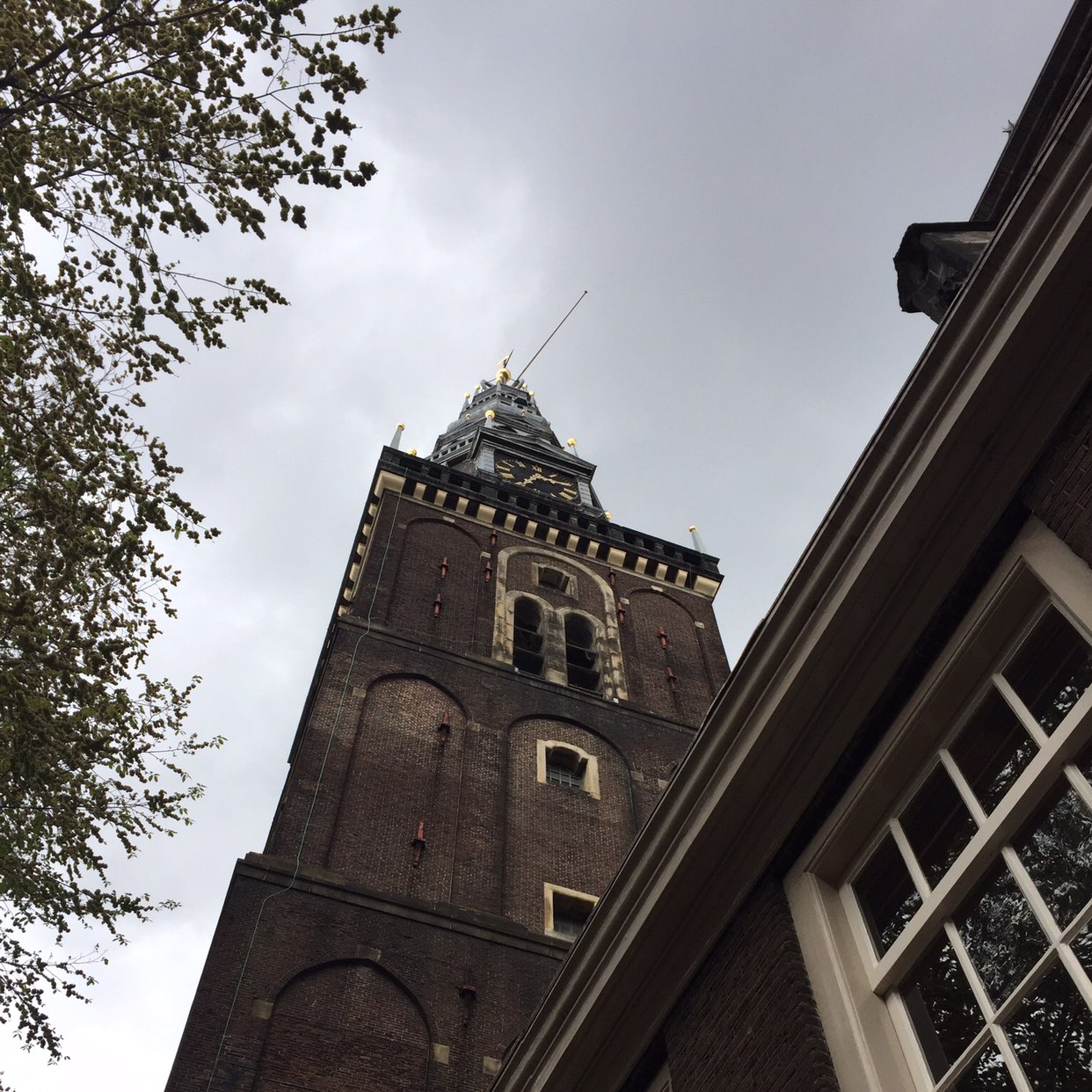 Testing microblog pictures